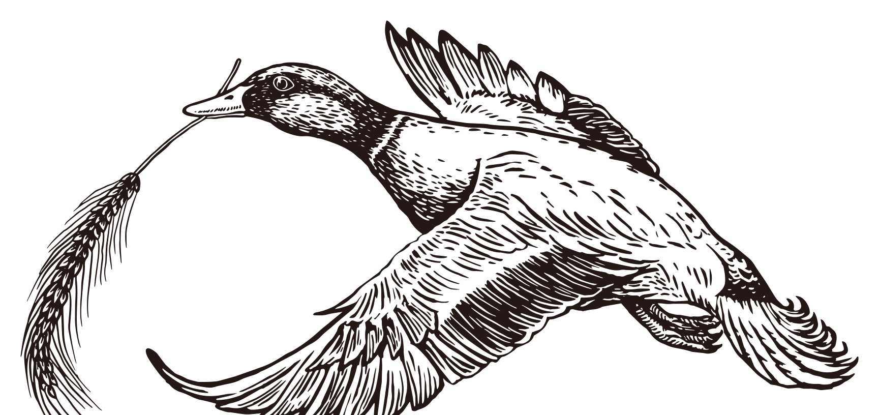 鳥徽