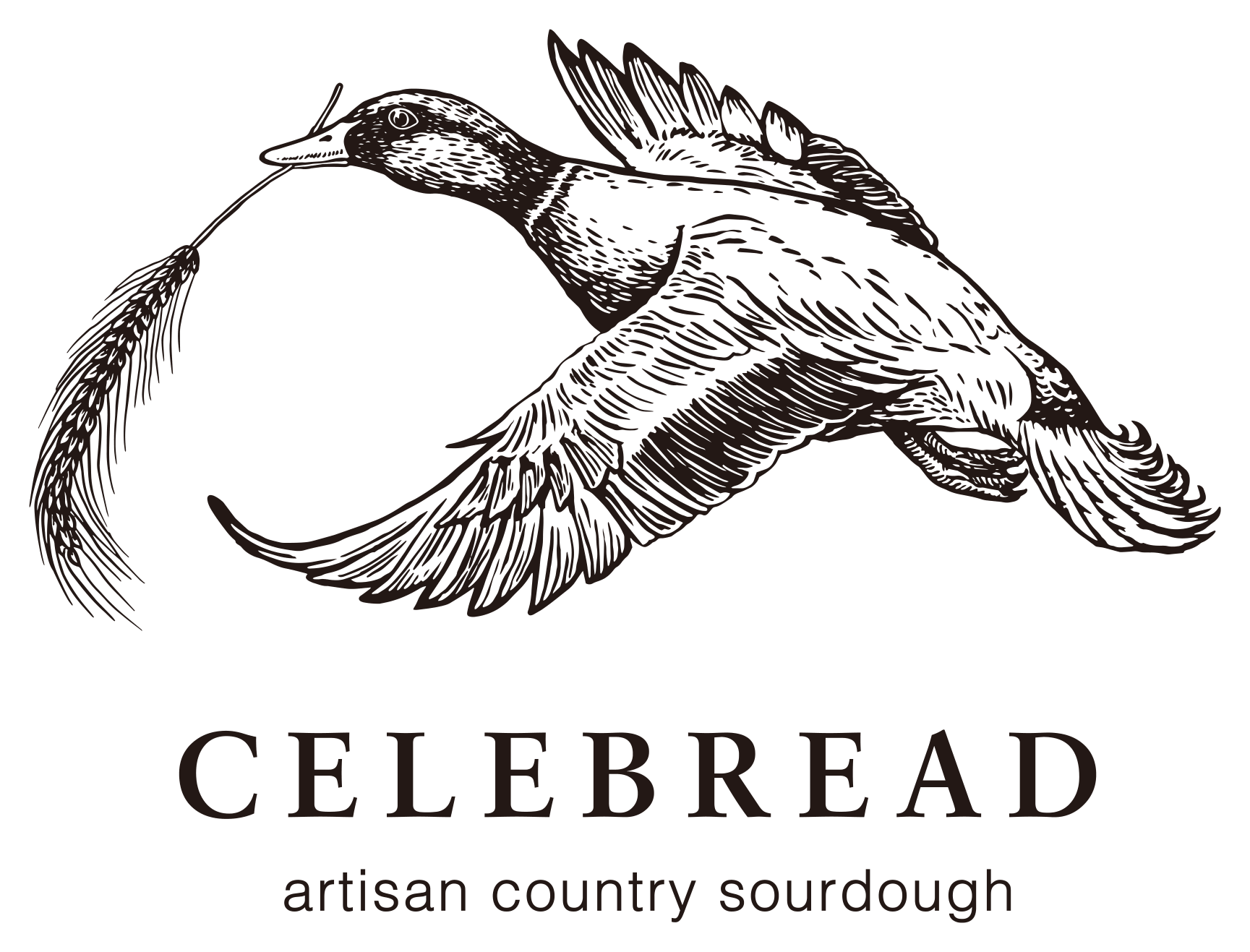 CELEBREAD